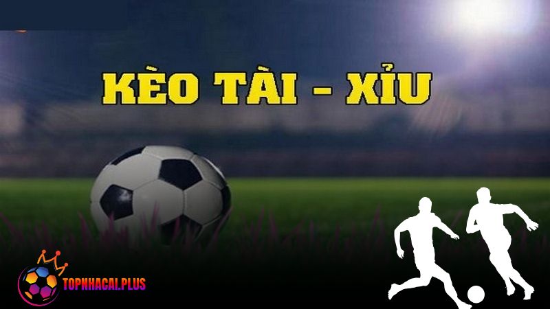 Kèo tài xỉu là gì? Cách chơi và các loại kèo phổ biến