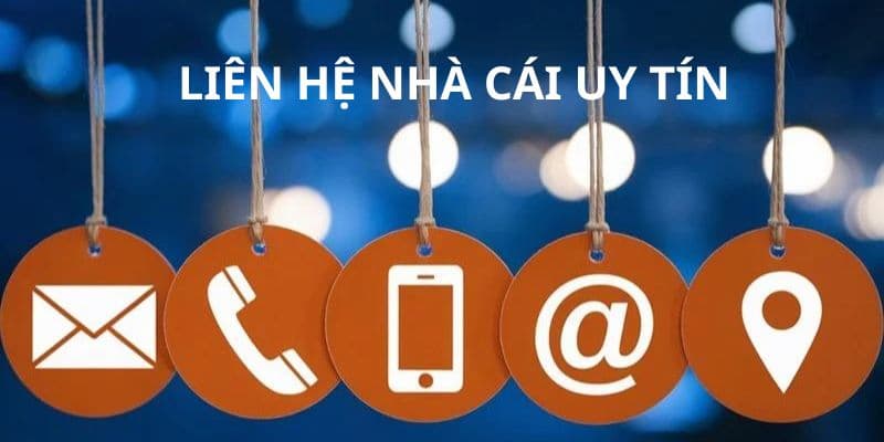 hỗ trợ cá cược bóng đá trực tuyến 24/7